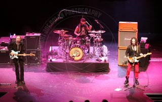 Richie Kotzen with the Winery Dogs