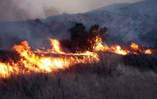 Woolesy Fire in West Hills, CA